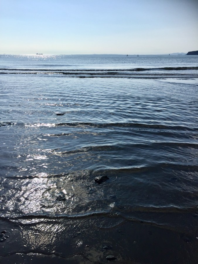 F16773E3-1AEB-4CF5-BF64-DE0909FD2AA4