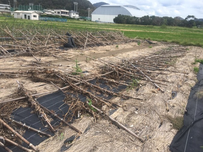 01B23D57-9468-4DEA-876A-373F00AD2617