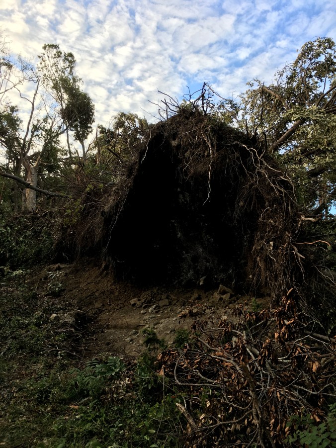 76F071B7-9256-4FBB-8B59-98ADFFE04B2F