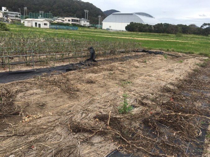 78367C04-C724-4968-A16A-5CAD3075438B